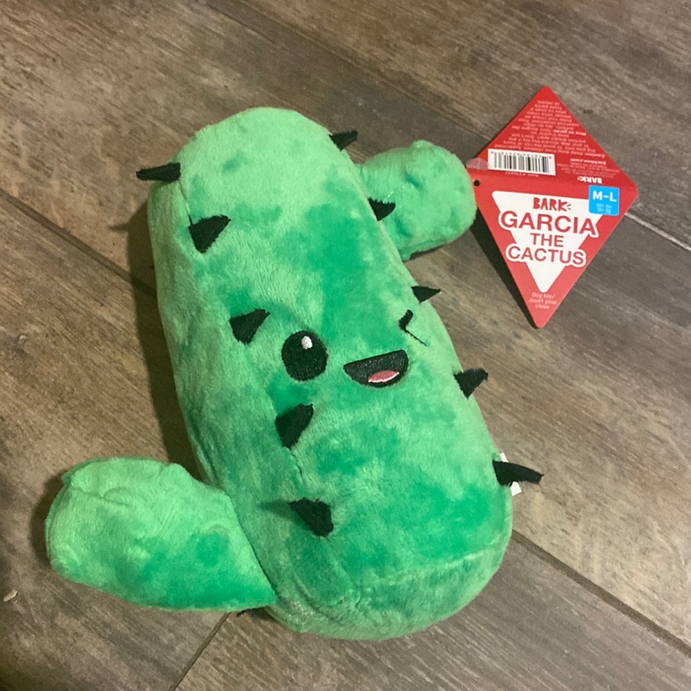 Garcia the Cactus